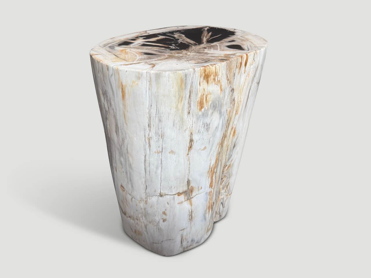 ANCIENT PETRIFIED WOOD SIDE TABLE