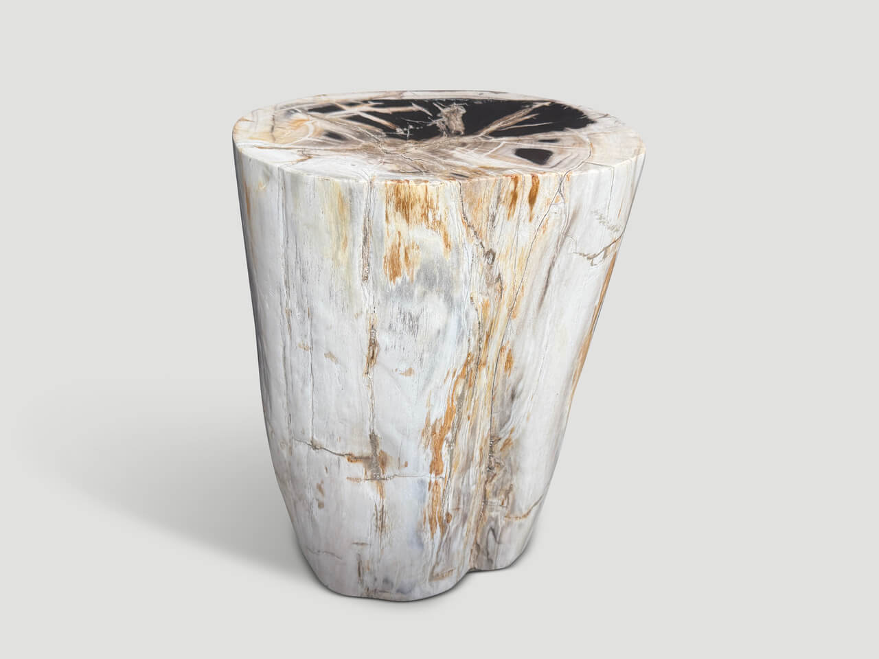 ANCIENT PETRIFIED WOOD SIDE TABLE