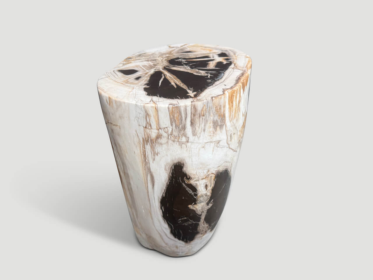 ANCIENT PETRIFIED WOOD SIDE TABLE