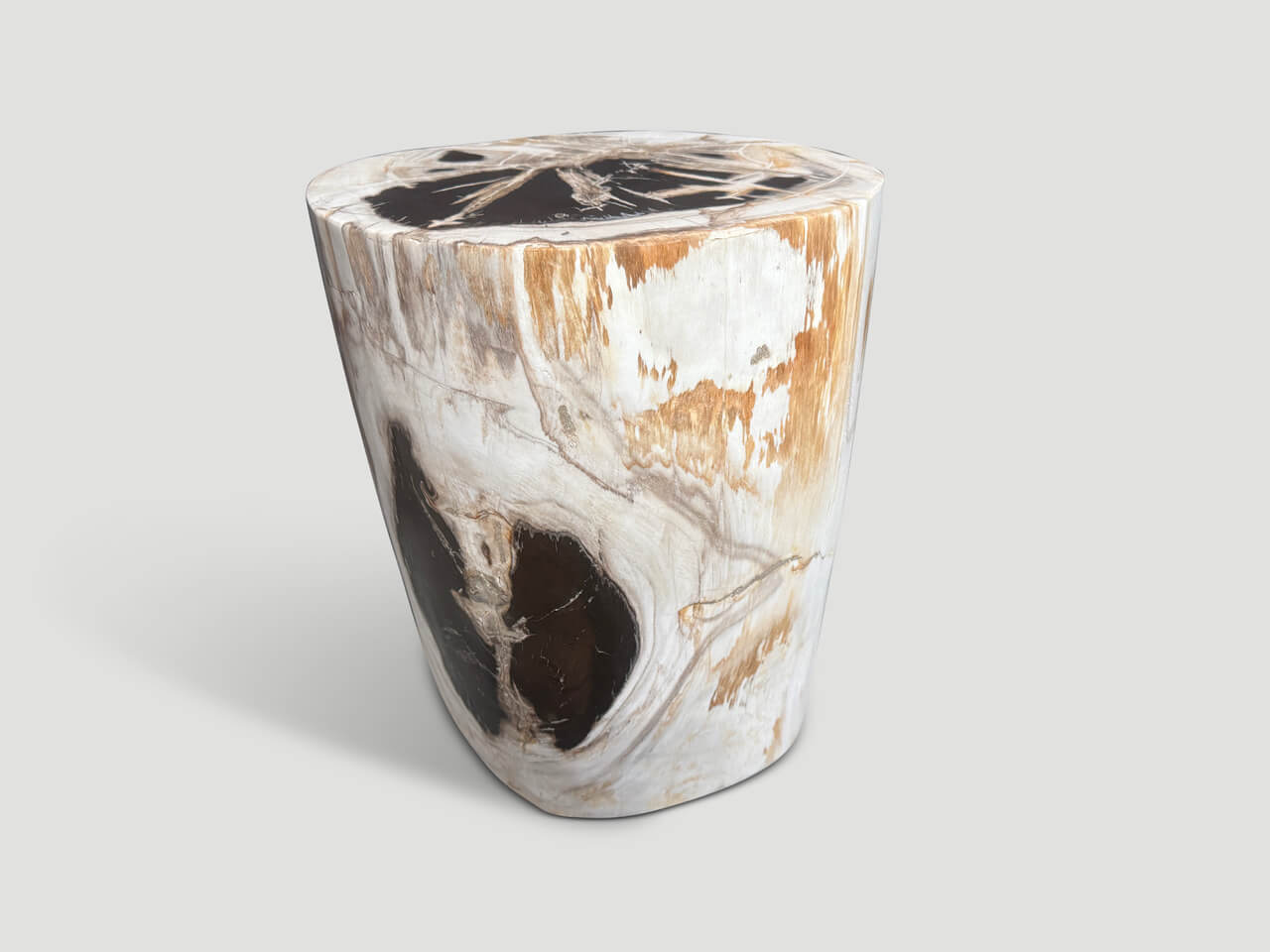 ANCIENT PETRIFIED WOOD SIDE TABLE