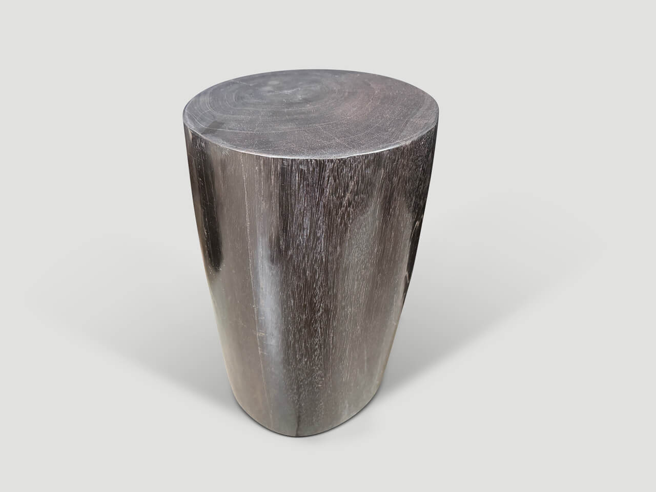 MINIMALIST MODERN ORGANIC PETRIFIED WOOD SIDE TABLE.