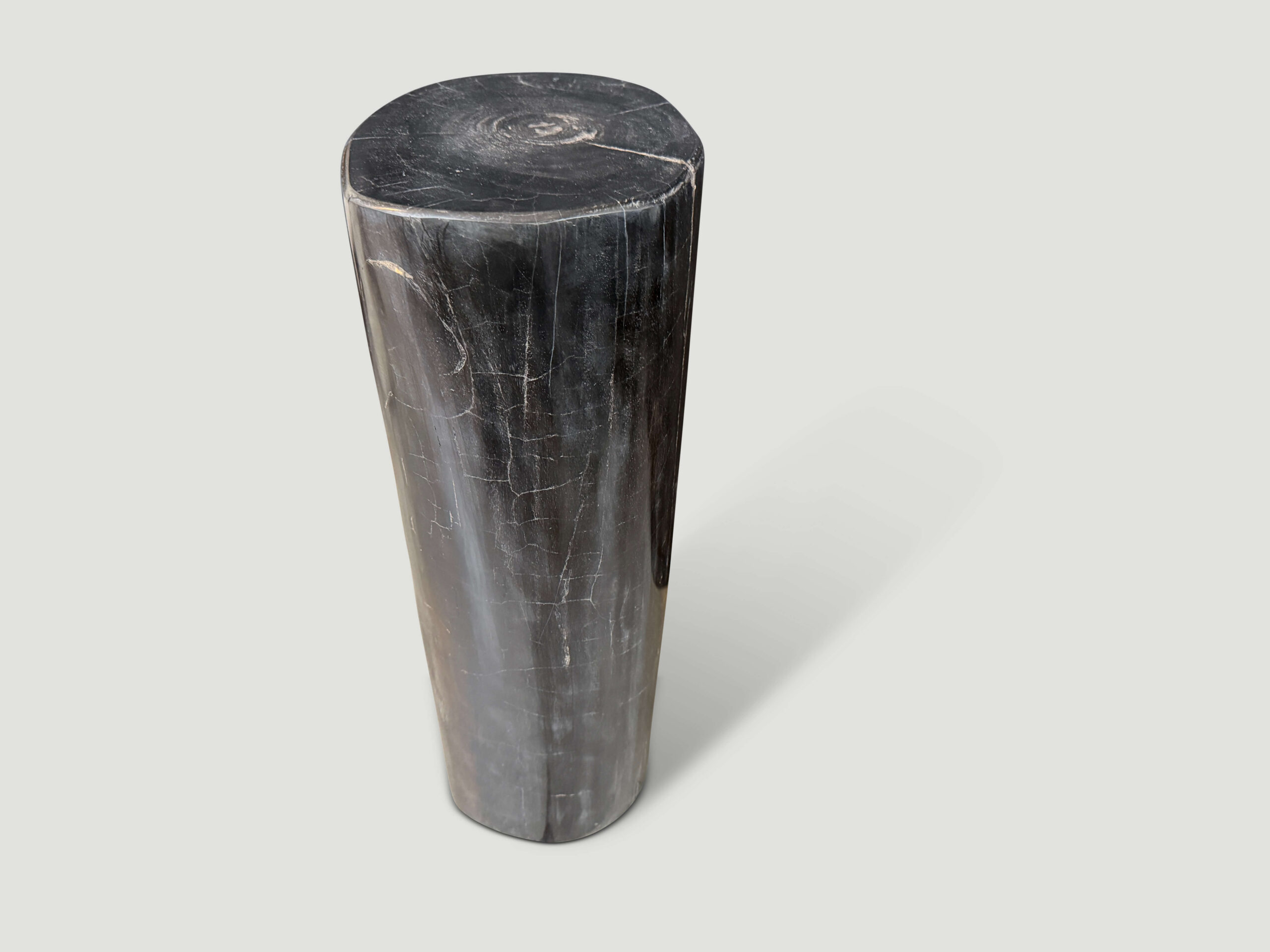MINIMALIST COLUMN PETRIFIED WOOD SIDE TABLE