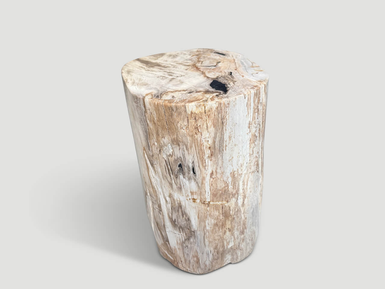 ANCIENT PETRIFIED WOOD SIDE TABLE