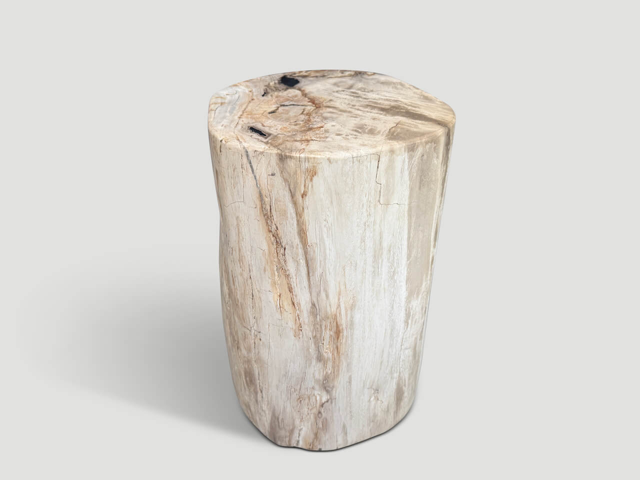 ANCIENT PETRIFIED WOOD SIDE TABLE