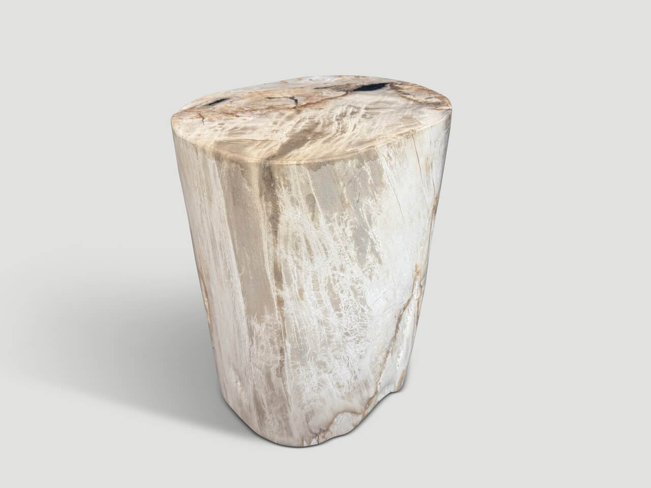 ANCIENT PETRIFIED WOOD SIDE TABLE