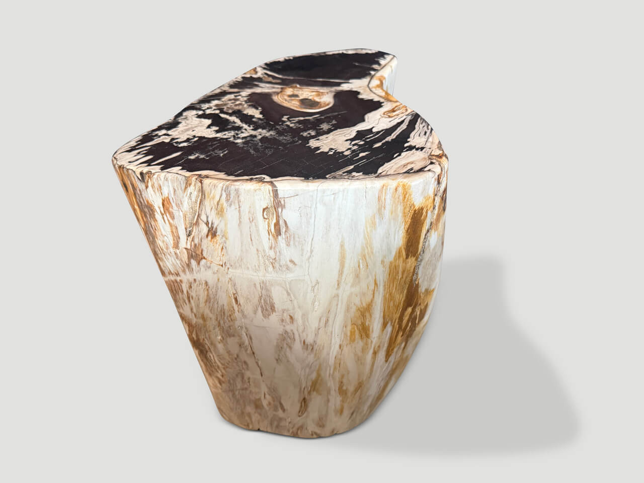 MODERN ORGANIC PETRIFIED WOOD SIDE TABLE