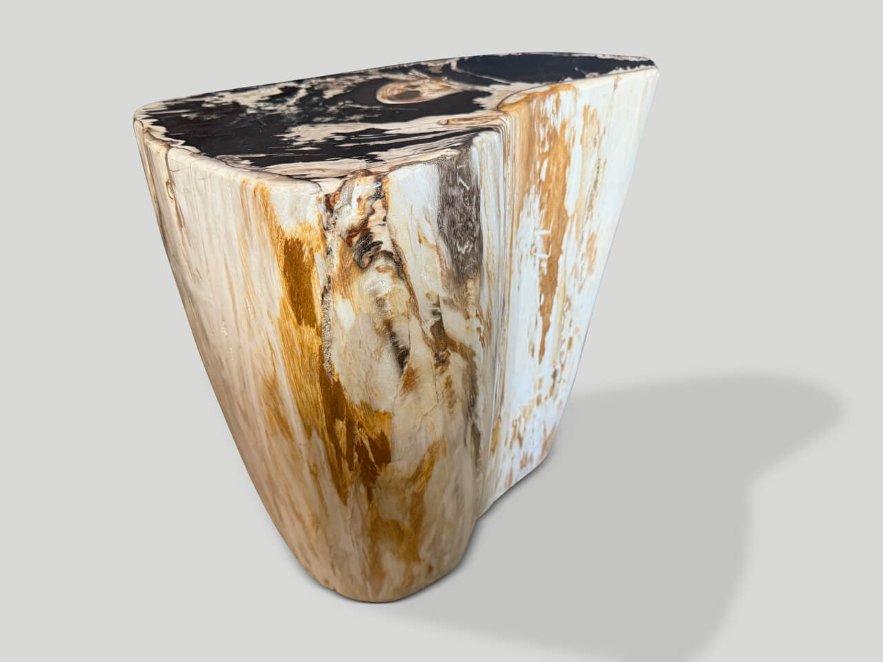 MODERN ORGANIC PETRIFIED WOOD SIDE TABLE