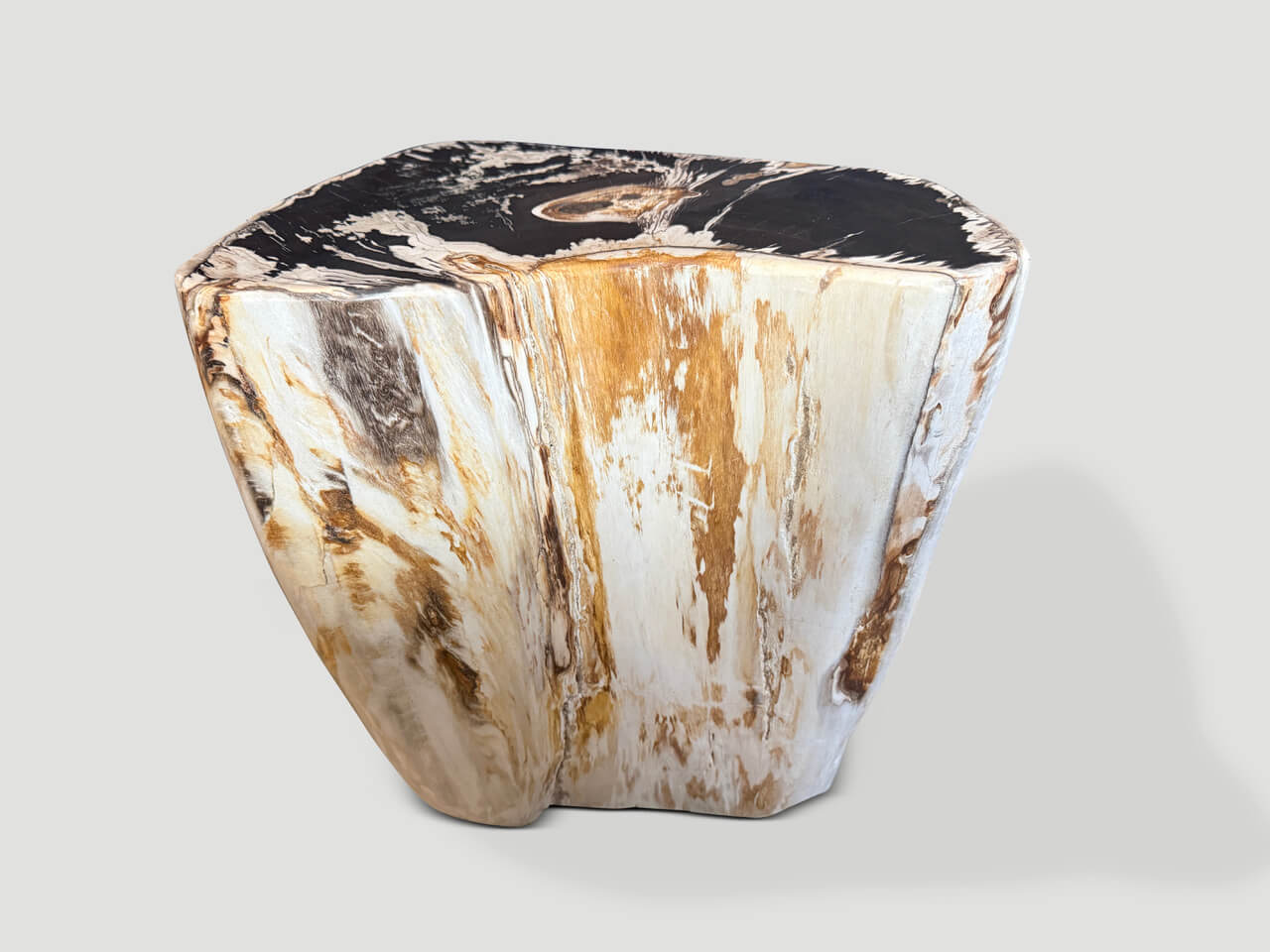 MODERN ORGANIC PETRIFIED WOOD SIDE TABLE