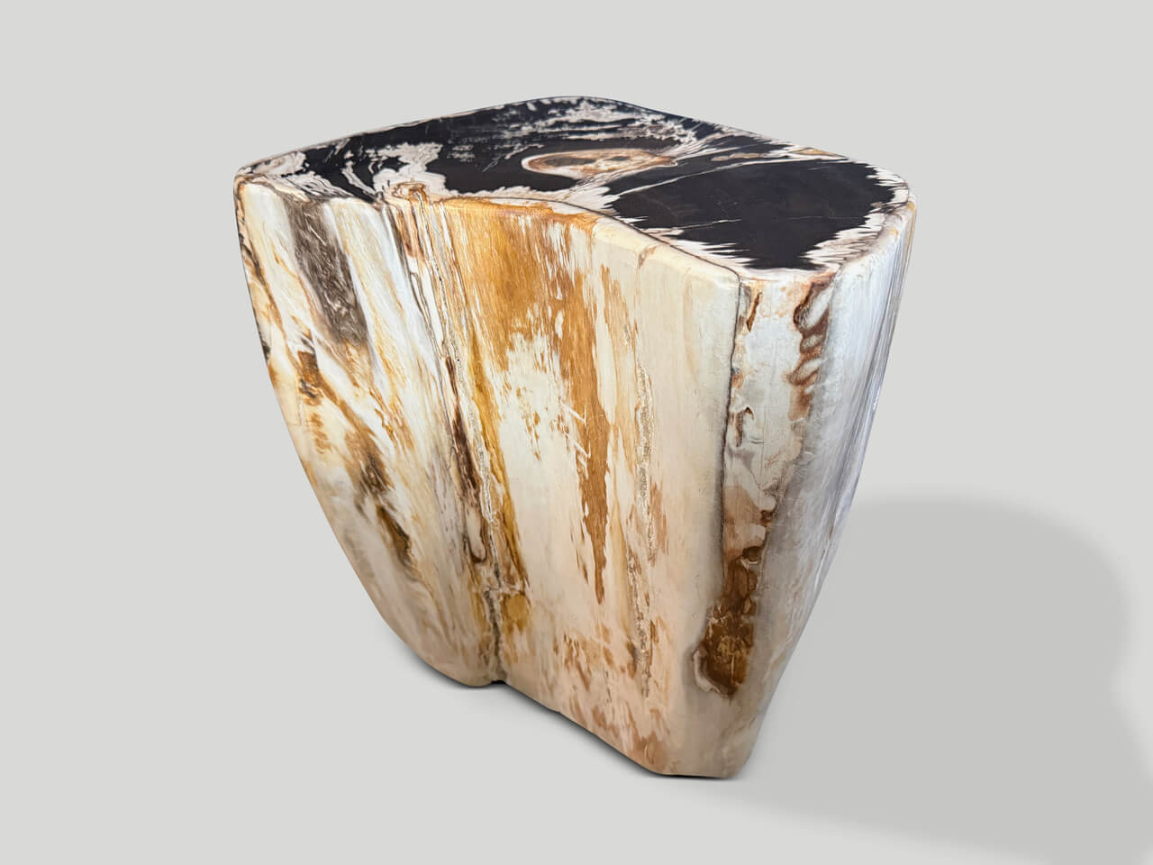 MODERN ORGANIC PETRIFIED WOOD SIDE TABLE