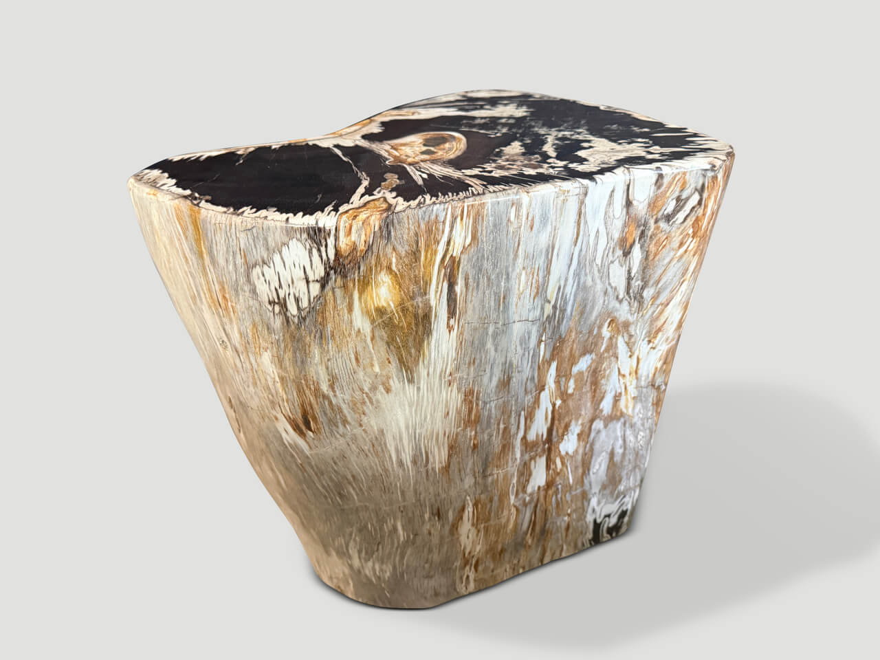 MODERN ORGANIC PETRIFIED WOOD SIDE TABLE