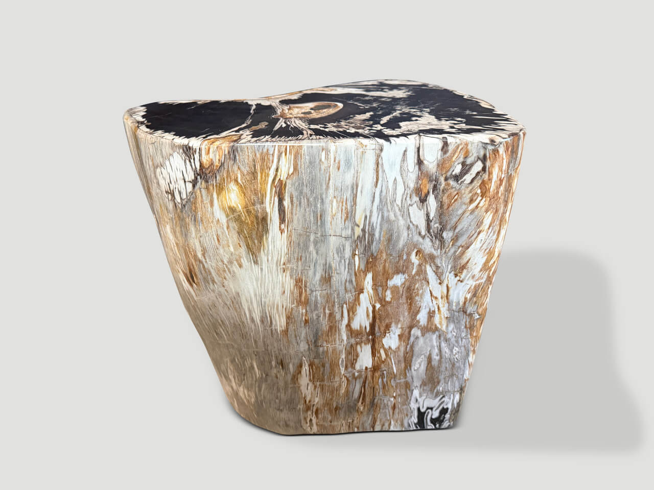 MODERN ORGANIC PETRIFIED WOOD SIDE TABLE
