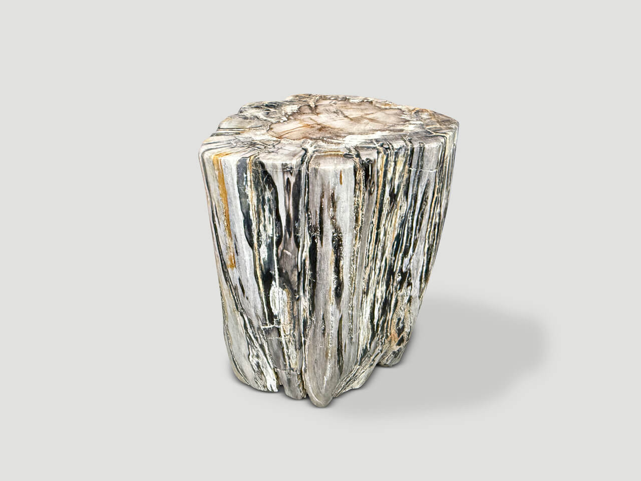 ANCIENT PETRIFIED WOOD SIDE TABLE