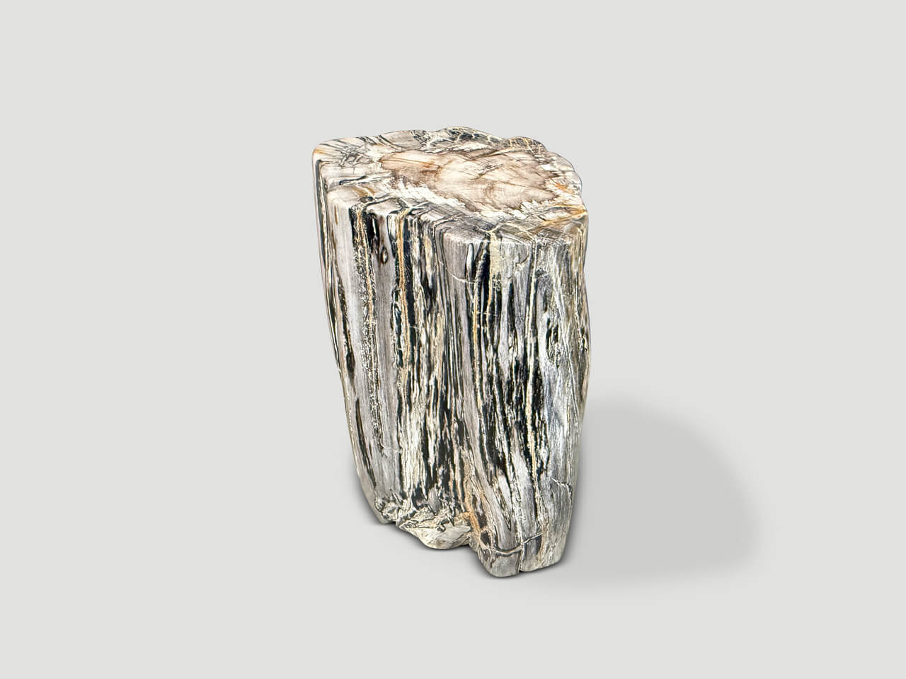ANCIENT PETRIFIED WOOD SIDE TABLE