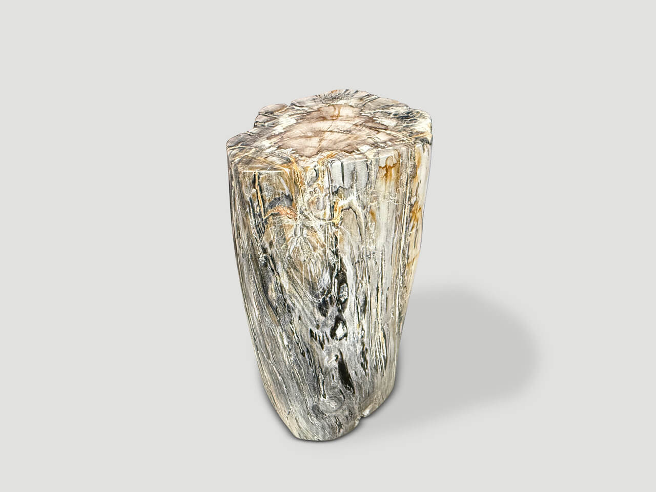 ANCIENT PETRIFIED WOOD SIDE TABLE