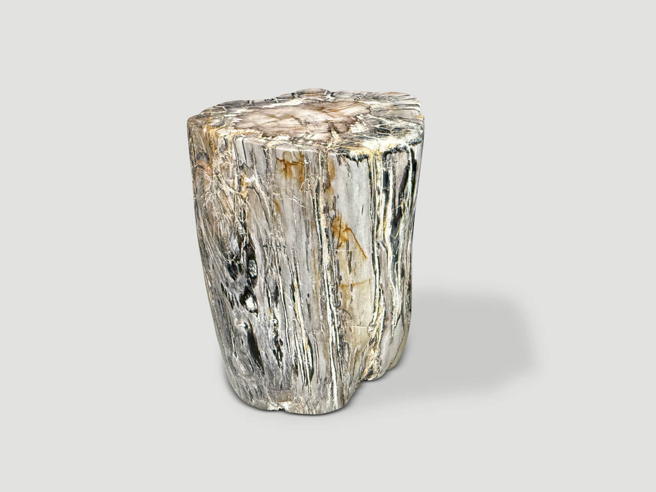 ANCIENT PETRIFIED WOOD SIDE TABLE