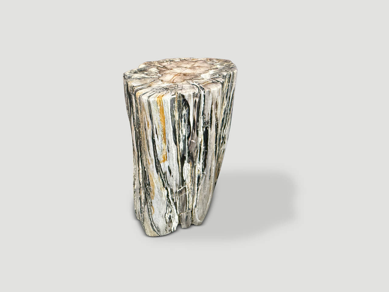 ANCIENT PETRIFIED WOOD SIDE TABLE