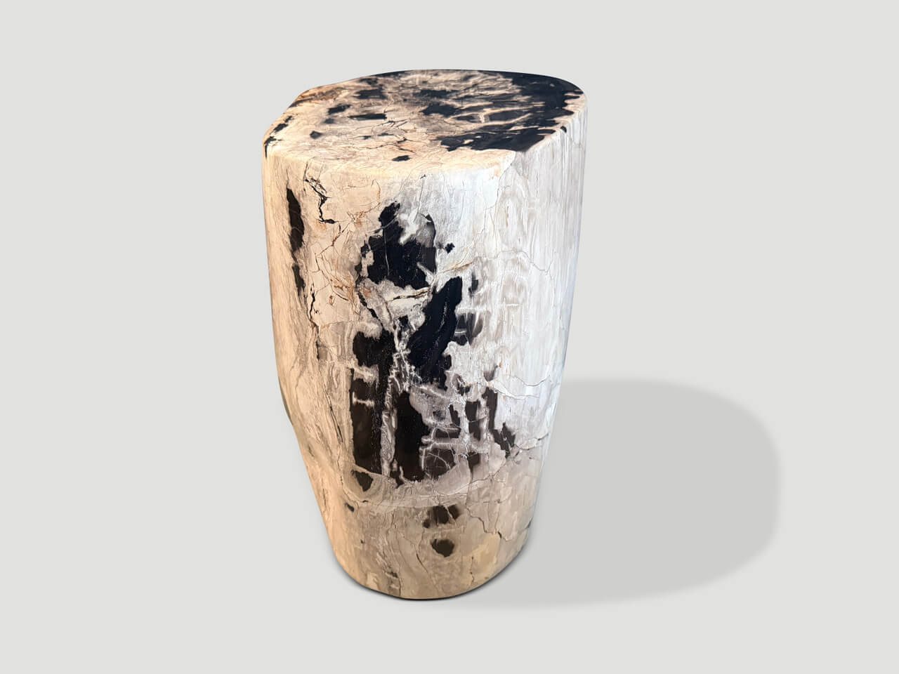 ANCIENT PETRIFIED WOOD SIDE TABLE