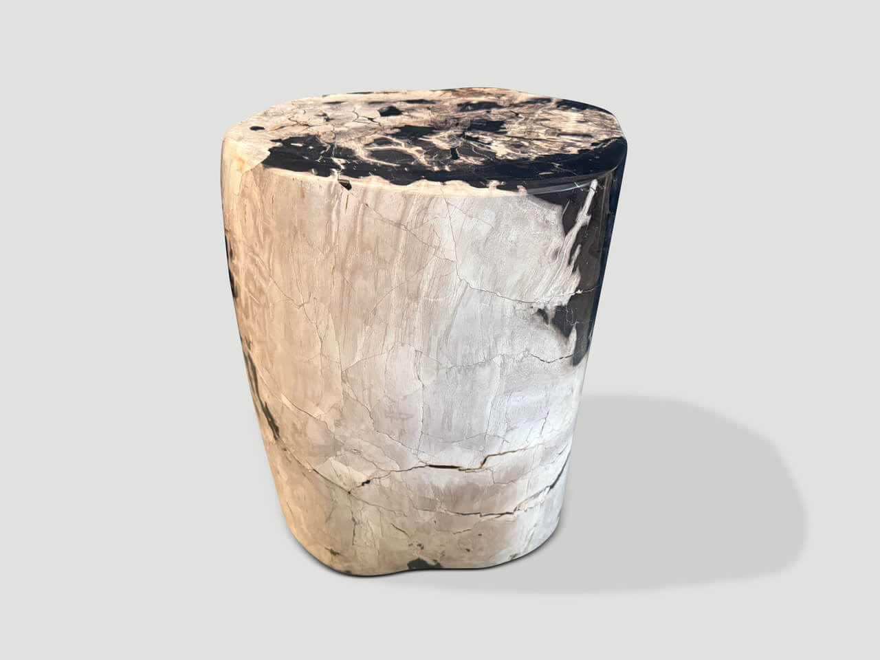 ANCIENT PETRIFIED WOOD SIDE TABLE