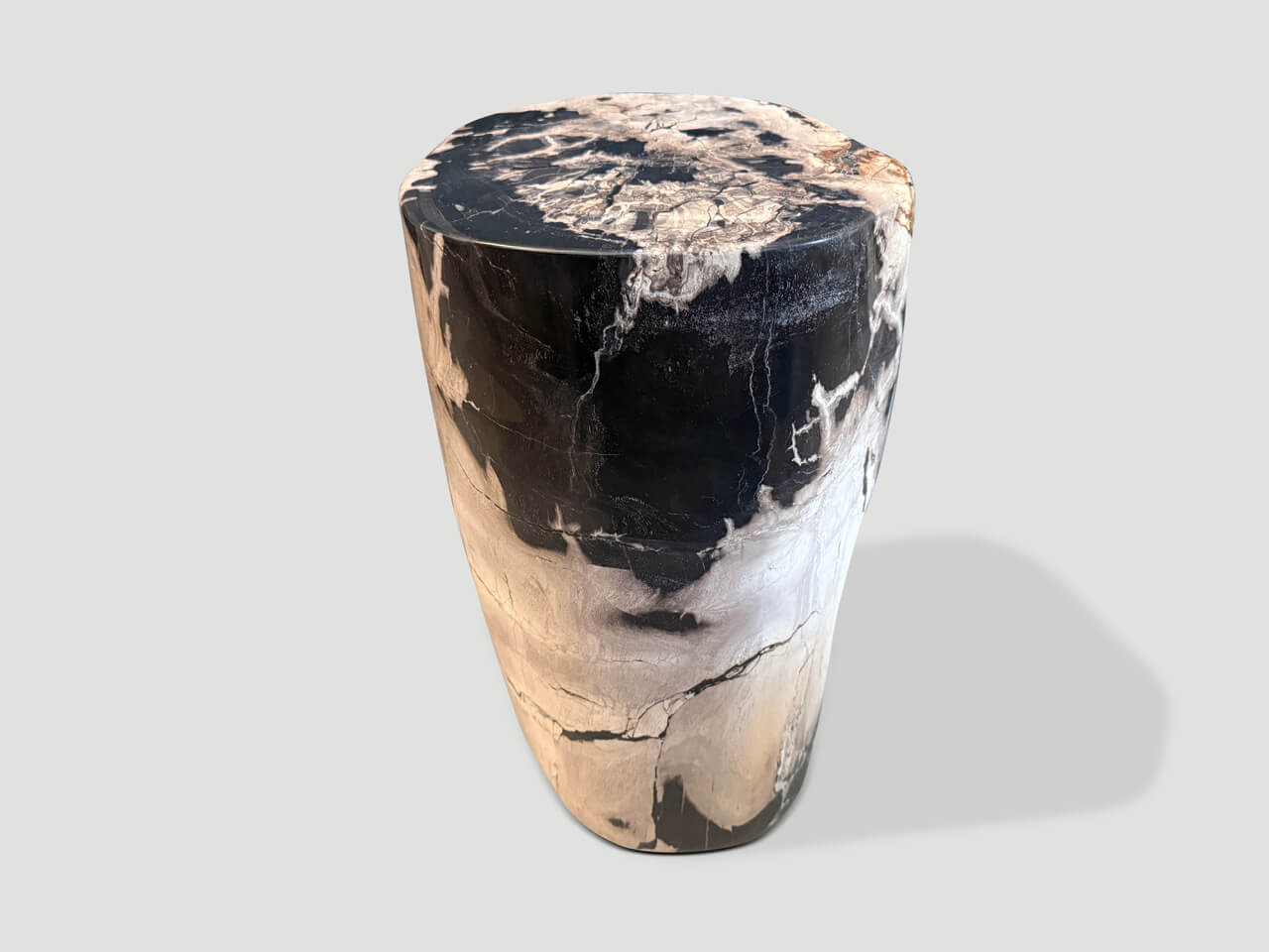 ANCIENT PETRIFIED WOOD SIDE TABLE