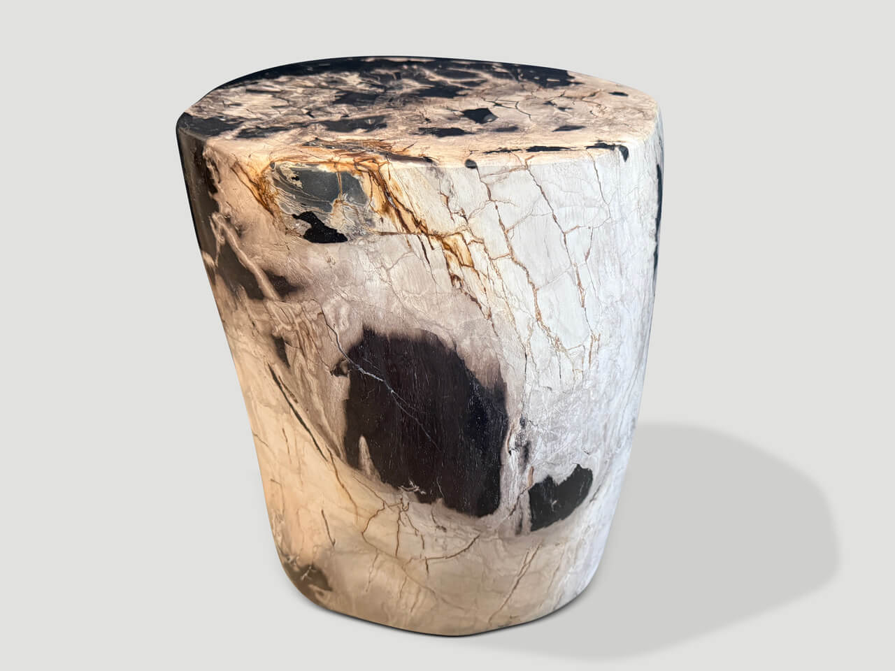 ANCIENT PETRIFIED WOOD SIDE TABLE